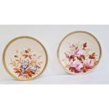 Two Royal Worcester cabinet plates, printed puce marks, date codes for 1881 and 1883, painted with