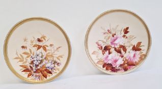 Two Royal Worcester cabinet plates, printed puce marks, date codes for 1881 and 1883, painted with