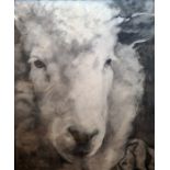 Annie Phelps  Charcoal and chalk  "A Study for a Cotswold Sheep", 63.5cm x 51.5cm