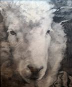 Annie Phelps  Charcoal and chalk  "A Study for a Cotswold Sheep", 63.5cm x 51.5cm