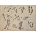 Henry William Burgess (1792-1839) Various pencil sketches Studies of trees, gates, bridges,