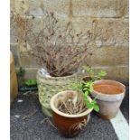 Four assorted garden pots