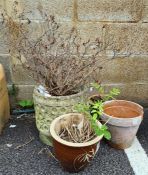 Four assorted garden pots