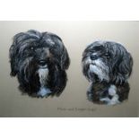 Mary Browning Pastel "Plum and Digger", studies of dogs and various further prints, etc