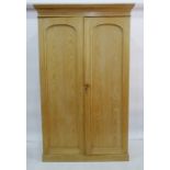 Late 19th century compactum wardrobe in pine, cavetto moulded cornice above two arched panelled