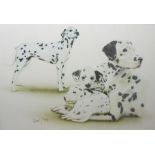 Two boxes of assorted prints including Dalmatian studies