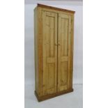 Late 19th/early 20th century pine cupboard, the two panelled doors opening to reveal shelves, raised