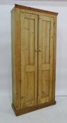 Late 19th/early 20th century pine cupboard, the two panelled doors opening to reveal shelves, raised