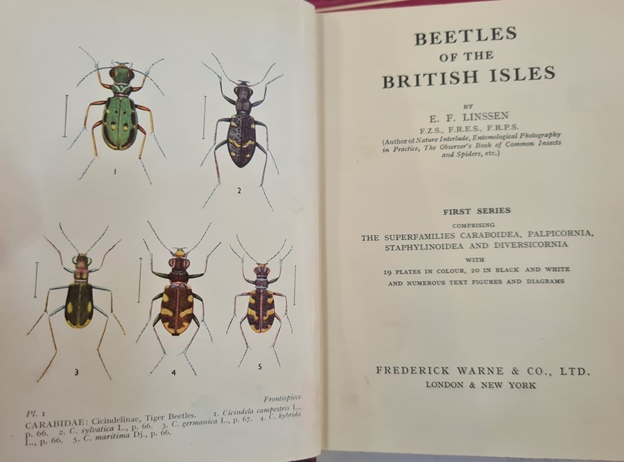 Linssen, E F "Beetles of the British Isles - ", Frederick Warne & Co 1959, 2 vols, First and - Image 5 of 13