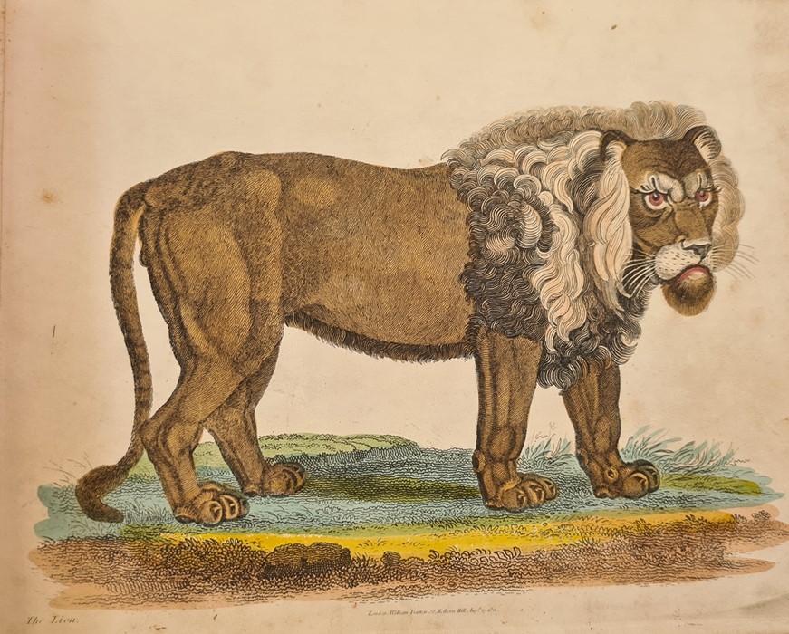 After William Darton Colour engraved plates of exotic, domestic and other animals to include the - Image 2 of 3