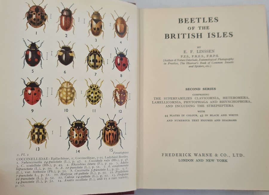 Linssen, E F "Beetles of the British Isles - ", Frederick Warne & Co 1959, 2 vols, First and - Image 3 of 13