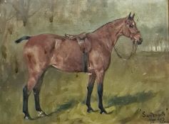 G Price Oil on canvas "Suffragette", study of a racehorse, signed and titled lower right, 22.5cm x