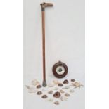 Carved walnut framed circular barometer, a shoe box full of shells and a walking cane with horn