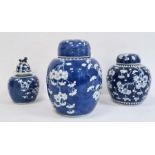 Large Chinese porcelain ginger jar with prunus blossom on a blue wash ground, lidded, ovoid, 26cm