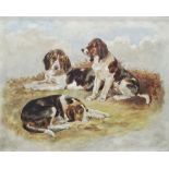 Early 20th century school Oil on canvas  Study of three hounds at rest, unsigned, 30.5cm x 37cm