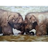 Large canvas print of baby elephants and two botanical canvas prints (3)