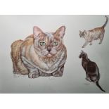 ? Dent  Watercolour drawing  Study of three cats, signed and dated 2005, 34.5cm x 46cm