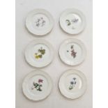Set of six Nymphenburg porcelain plates, each individually decorated with botanical designs