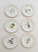 Set of six Nymphenburg porcelain plates, each individually decorated with botanical designs