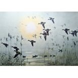 Peter Scott (mid 20th century)  Colour print  Geese in flight, signed in pencil to margin lower