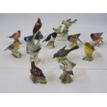 Quantity of Beswick and other model birds to include Beswick 'Wren', 'Blue Tit', 'Grey Wagtail', '