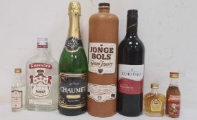 Selection of wines and spirits including a bottle of Jonge Bols Graan Jenever, half bottle of