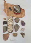 Two boxes of assorted shells, minerals and fossils