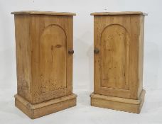 Pair of pine single pot cupboards, the rectangular tops above single arched panelled doors enclosing