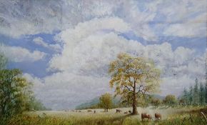 Peter Longman (British, 20th century) Oil on canvas Cattle in a meadow, 27cm x 44cm  D Manana