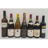Seven bottles mixed red and white wines to include two bottles of Moillard Crozes-Hermitage 1975,