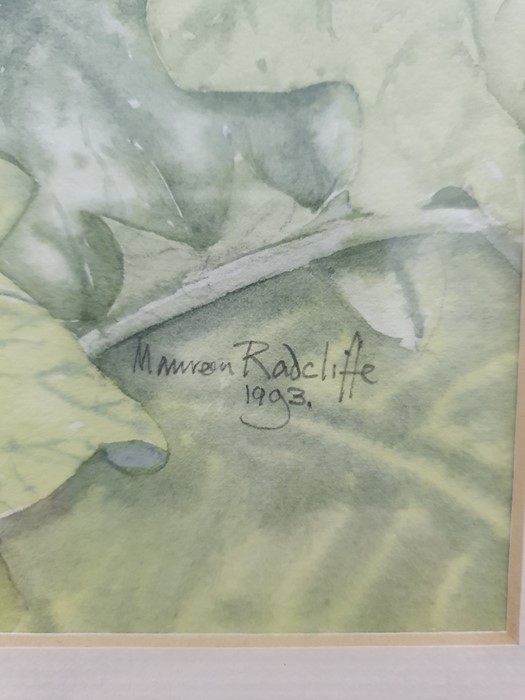 Maureen Radcliffe (20th century) Watercolour  Still life study of flowers, signed and dated 1992 - Image 4 of 7