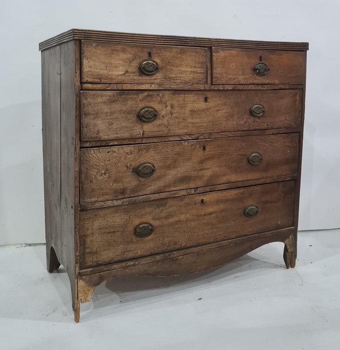 19th century chest of two short over three long drawers, probably elm, 99.5cm x 97cm