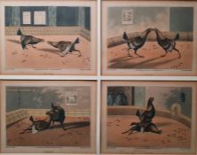 After Henry Alken Four coloured engravings  Four stages of a cock fight, framed as one, 32cm x