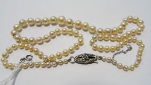 Cultured pearl necklace, string-strand, graduated with silver clasp, 44cm long  Condition