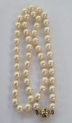 String of cultured pearls with gold-coloured metal and sapphire ball clasp