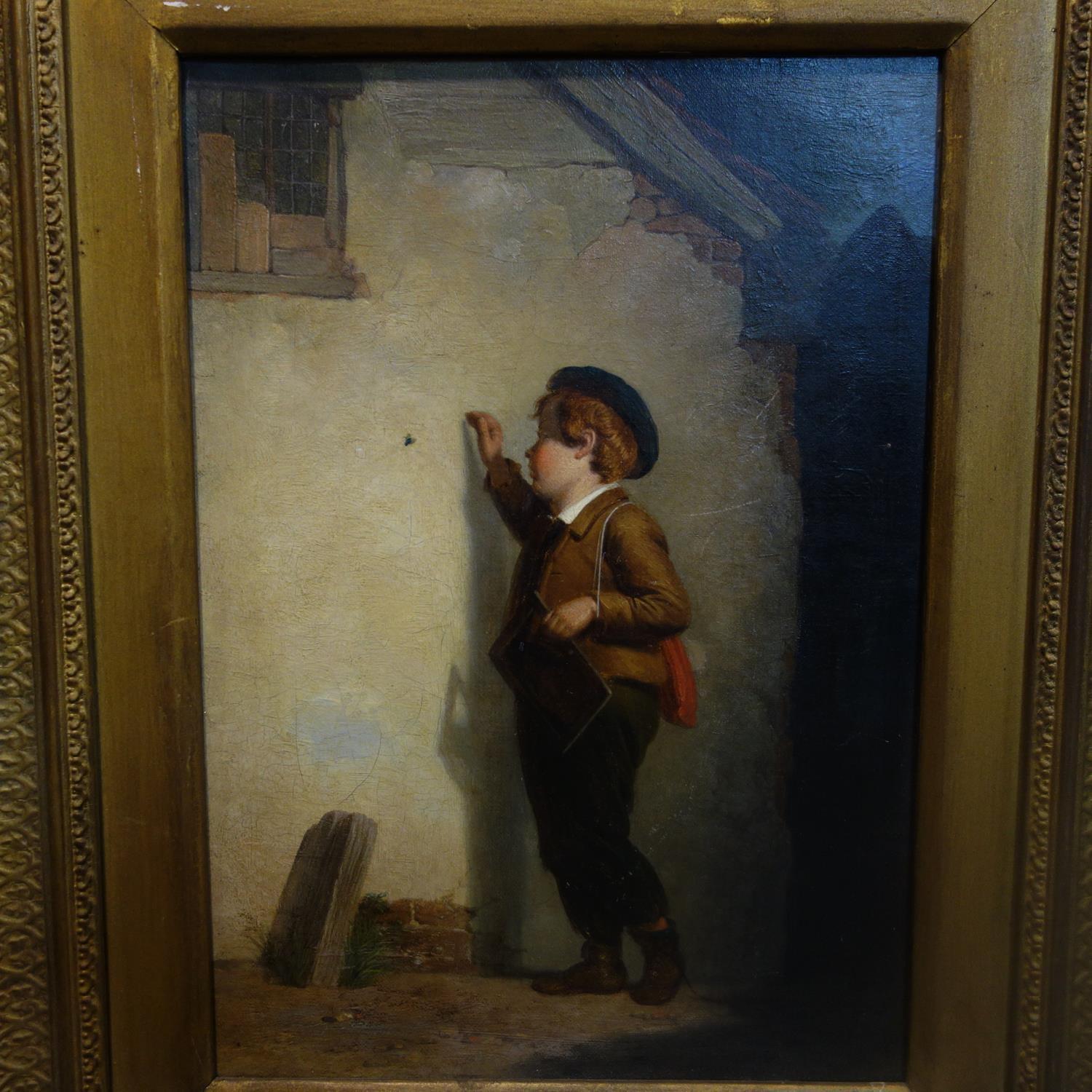 An oil on canvas of a young boy observing a fly on a wall, in gilt frame, 34 x 24cm