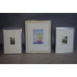 A pair of 20th century limited edition prints, indistinctly signed, together with one other