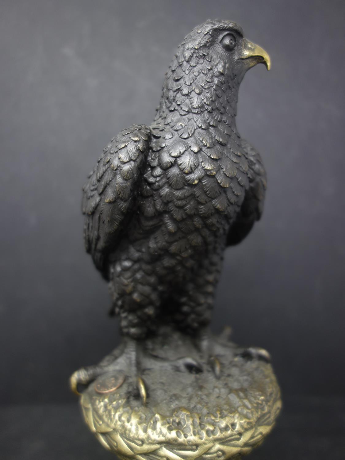 A bronze study of an eagle on a naturalistic base, after A. Thorbum, bearing signature, raised on - Image 3 of 3