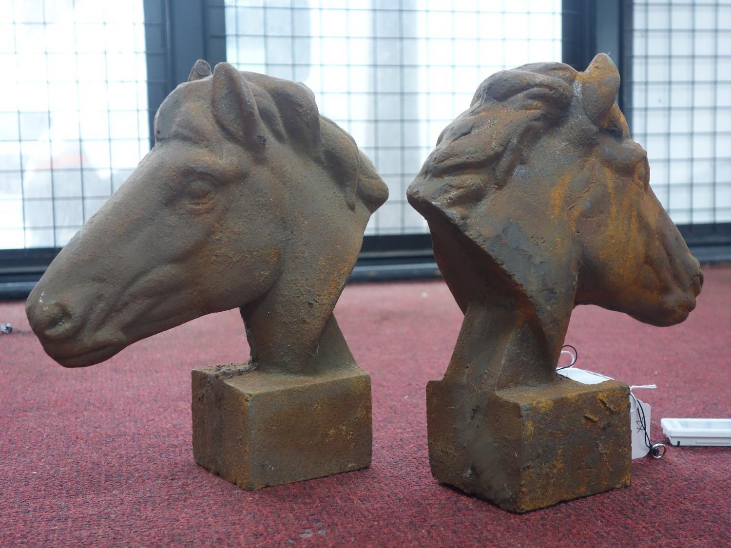 Two cast iron horse heads on block bases, H.30cm - Image 2 of 2
