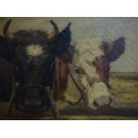 Early 20th century Danish school, Two Cows, oil on canvas, in black frame, 23.5 x 31.5cm, some