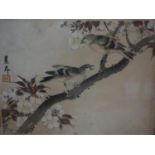 An early 20th century Japanese woodblock print of birds in a tree, signed, 20 x 25cm