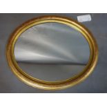 An oval gilt mirror, 58 x 48cm