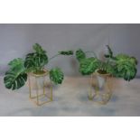 A pair of rectangular gilt pot stands with faux plants, H.43 W.23 D.23cm (stands)