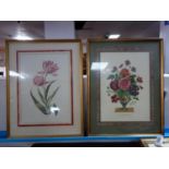 Two prints of flowers, both within floral border, framed and glazed, 40 x 26cm and 40 x 25cm