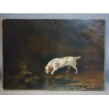 A 19th century oil on canvas of a dog drinking from a stream, unframed, 42 x 61cm
