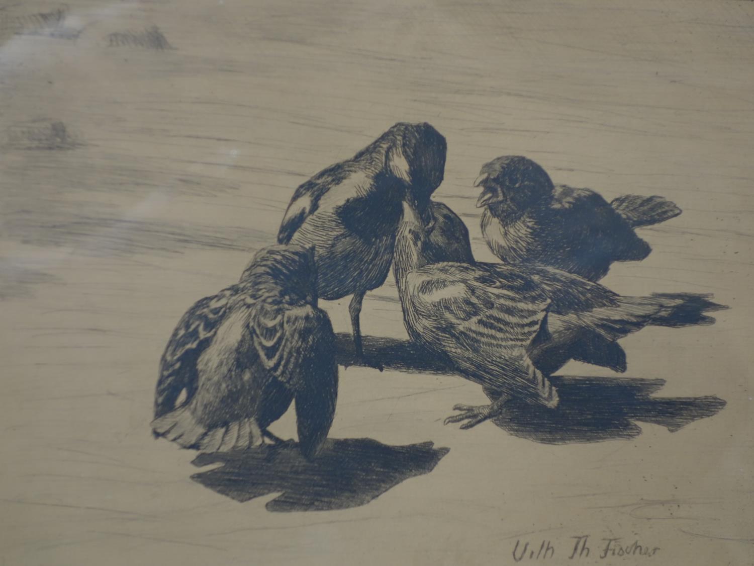 After Vilhelm Theodor-Fischer (Danish 1857-1928), Four Birds, etching, signed to block, framed and