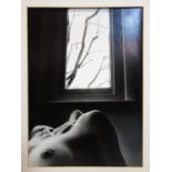 Trevor Watson, Nude lady, photographic print, signed in pencil to mount, stamped 'Copyright,