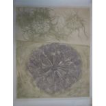 Owen Jones, abstract organic print in two parts, signed and numbered 7/50 in pencil to lower