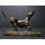 A 19th century bronze of a dog, signed De Braux, H.14.5 W.11cm