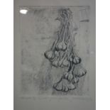 An etching titled 'London grown garlic', signed Jack Rickards and dated '92 in pencil, 33 x 26cm